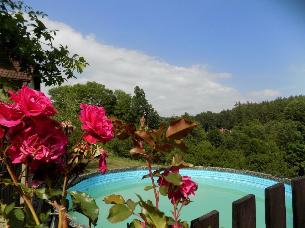 Rovensko pod TroskamiLandhaus Florianアパートメント エクステリア 写真